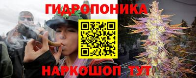 прущие грибы Бугуруслан